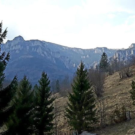 Hotel Pensiunea Bobu Izvoru Muntelui Esterno foto