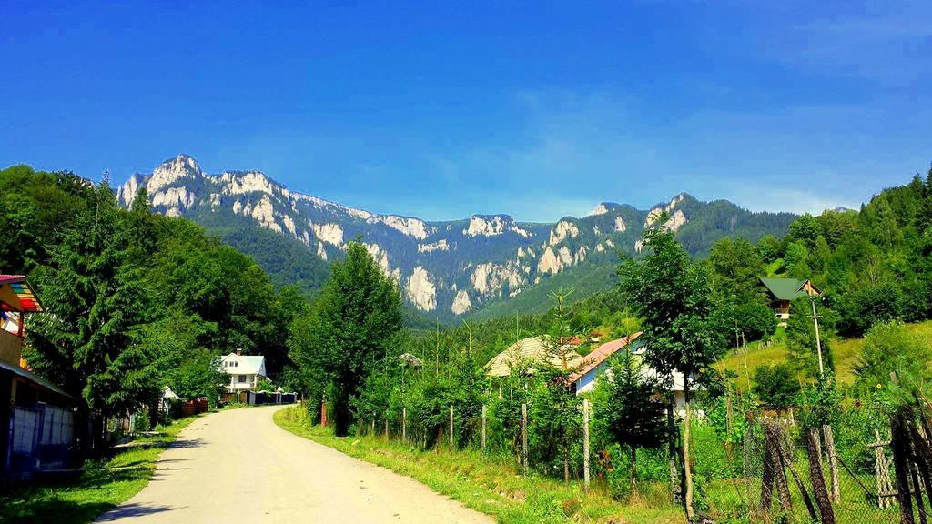 Hotel Pensiunea Bobu Izvoru Muntelui Esterno foto