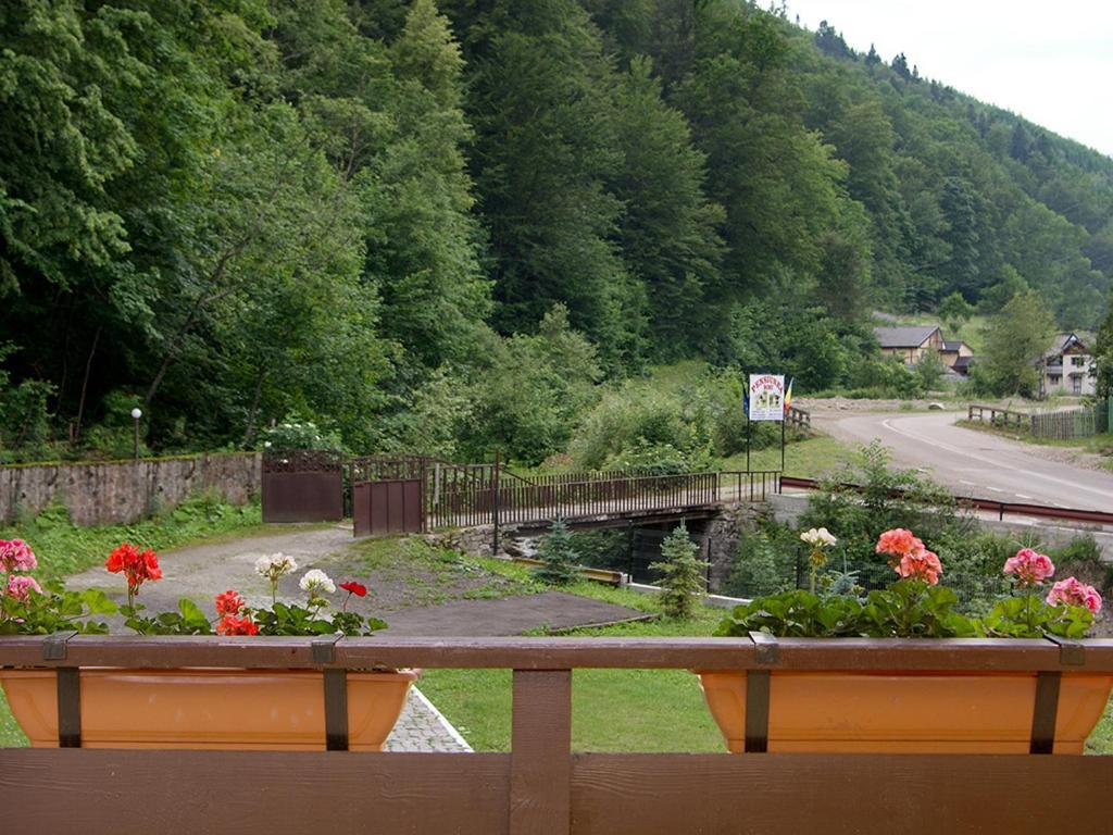 Hotel Pensiunea Bobu Izvoru Muntelui Esterno foto