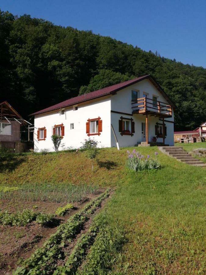 Hotel Pensiunea Bobu Izvoru Muntelui Esterno foto