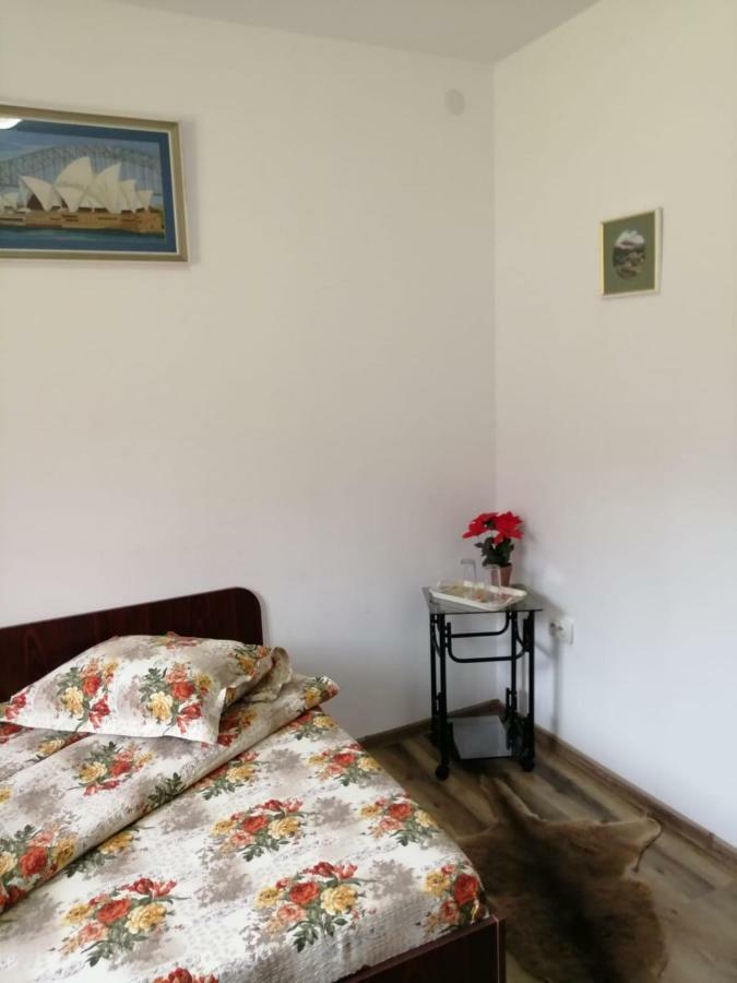 Hotel Pensiunea Bobu Izvoru Muntelui Esterno foto