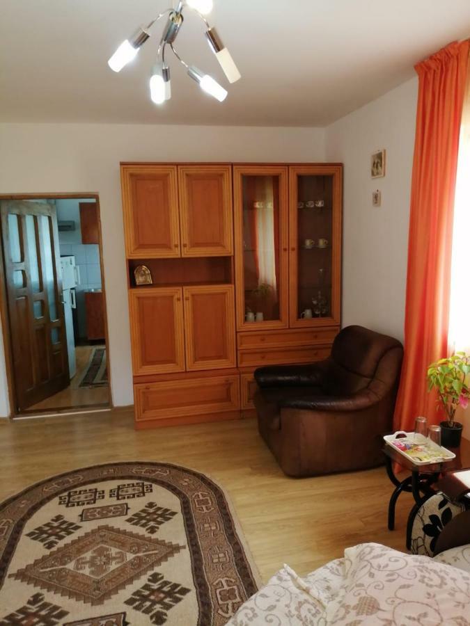 Hotel Pensiunea Bobu Izvoru Muntelui Esterno foto
