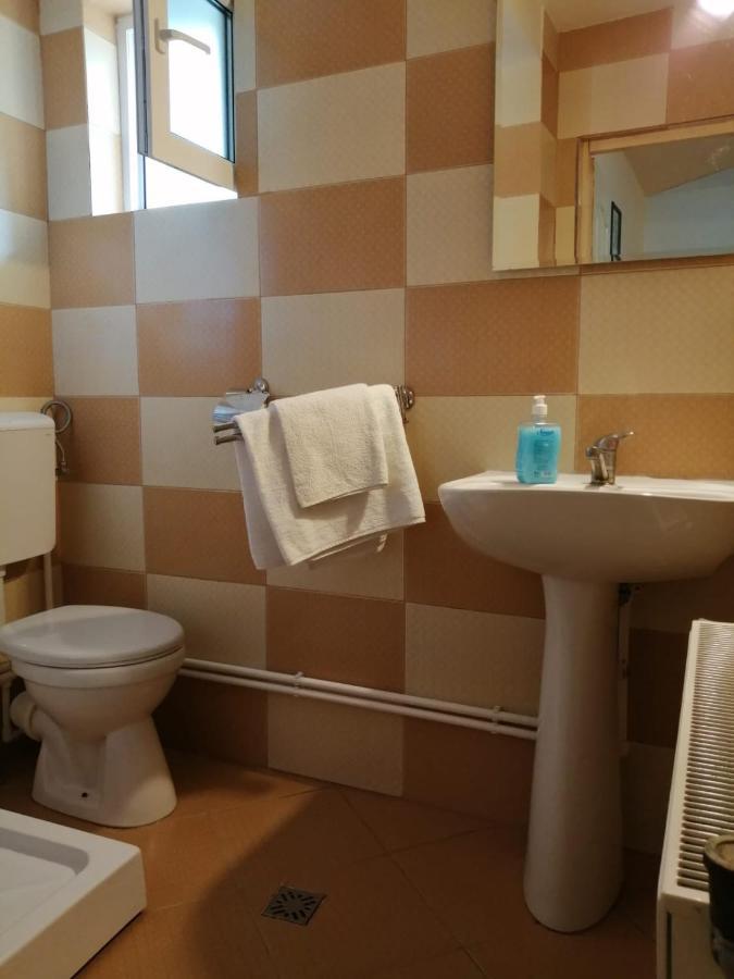 Hotel Pensiunea Bobu Izvoru Muntelui Esterno foto