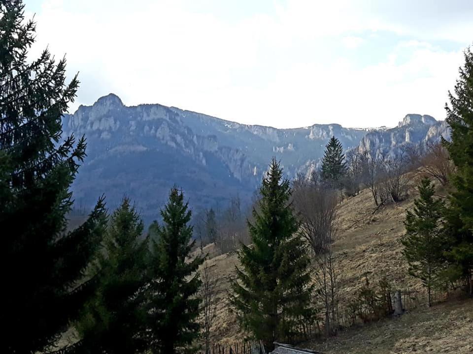 Hotel Pensiunea Bobu Izvoru Muntelui Esterno foto